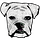 The Underdog Newsletter