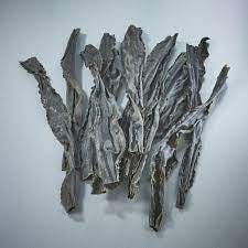 Hidaka Kombu seaweed from Hokkaido - Seaweeds - Nishikidôri