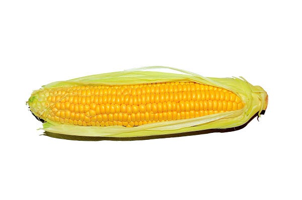 corn
