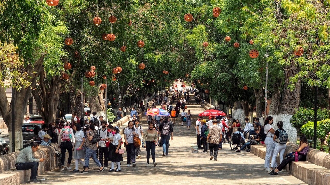 Calzada Fray Antonio