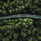 Con đường mới của tác giả trong kỷ nguyên số