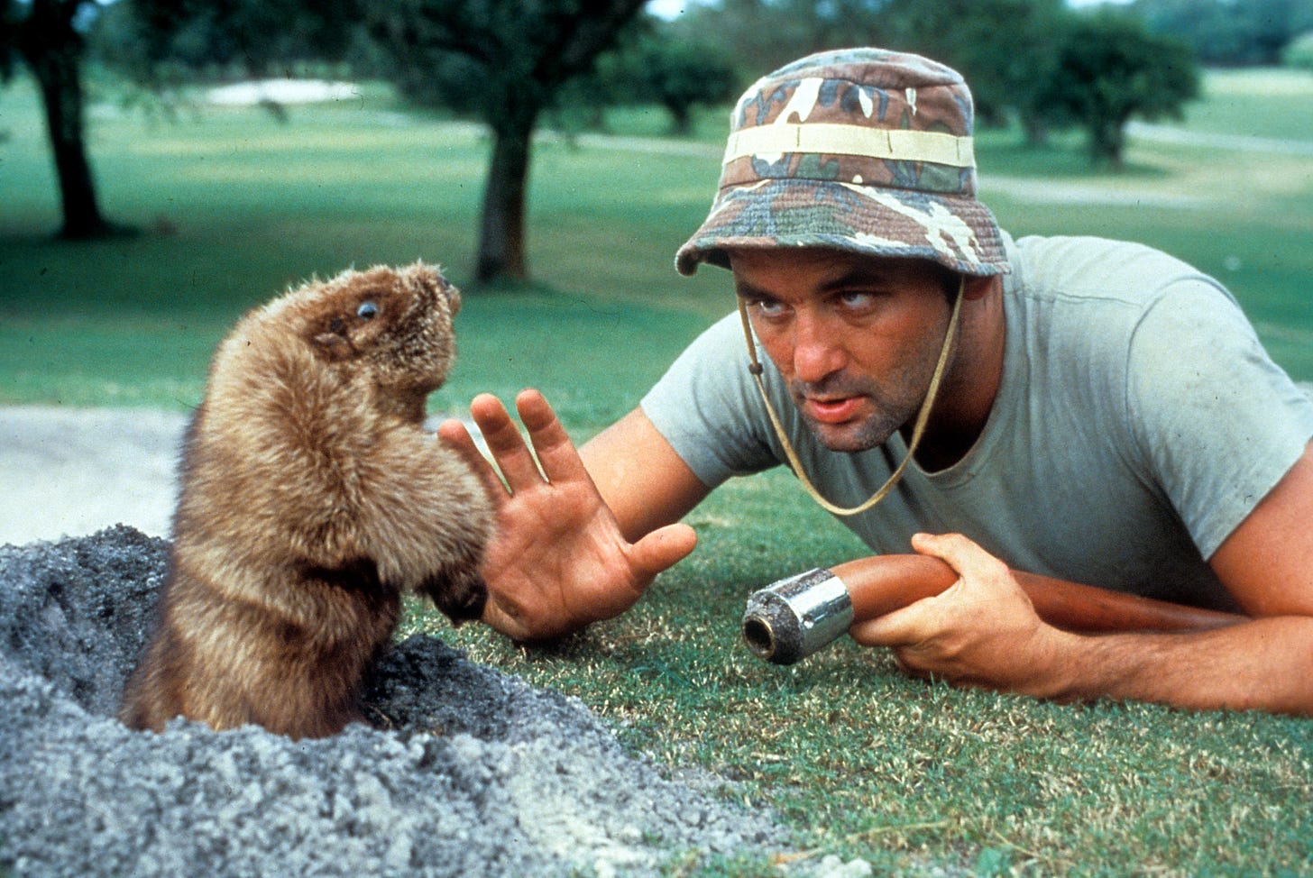 Caddyshack (1980) - IMDb