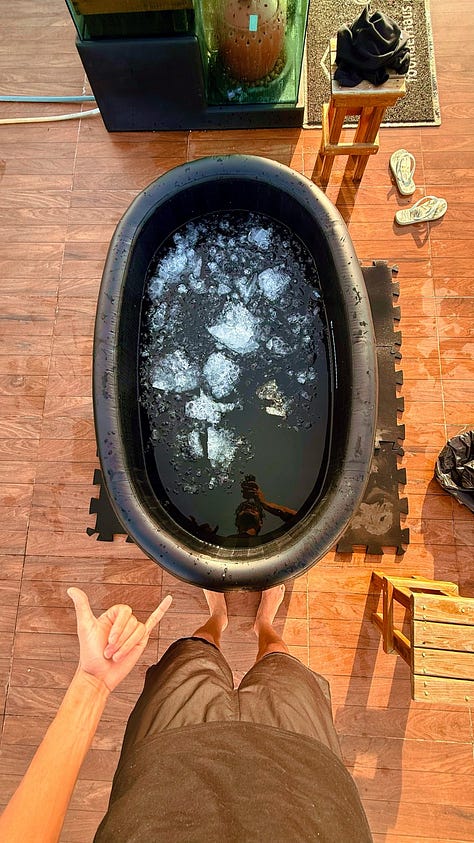 Communal breakfast, SheFi Brazil beach gathering, and an ice bath at Ipê Village
