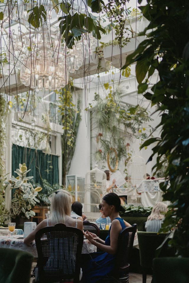A pair of women sit at a restaurant table, backs to us, talking over the remnants of breakfast or brunch. Other people sit at tables in the background. The room is high and briaght with a glass ceiling and plenty of plants, both hanging in vines from the rooftop and along the floor and walls. A white bird cage rests in the far corner with yellow birds in it.