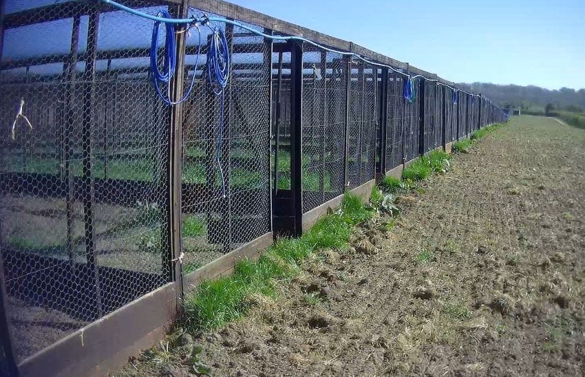 Pheasant Rearing Field Land Use Framework for England - End Bird Shooting