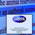 DARPA's 2018 'PREEMPT' Program Sought to Build the Wildlife Alibi for Future Pandemic Pathogens