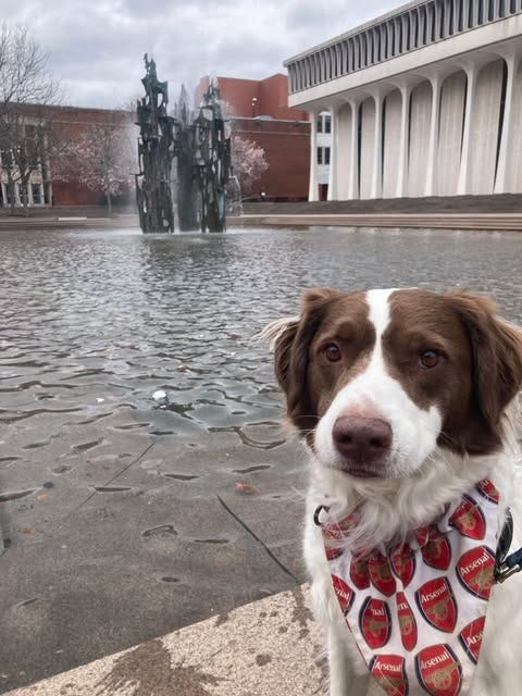 Open photo Open photo