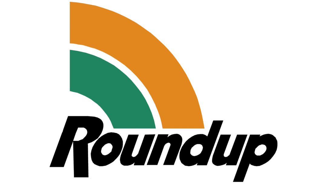Logo Roundup: valor, histria, png, vector