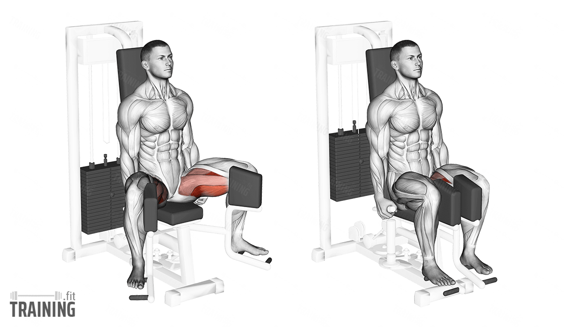 Hip Adduction - Instructions, Information & Alternatives » Training.fit