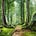 The Foragers Path
