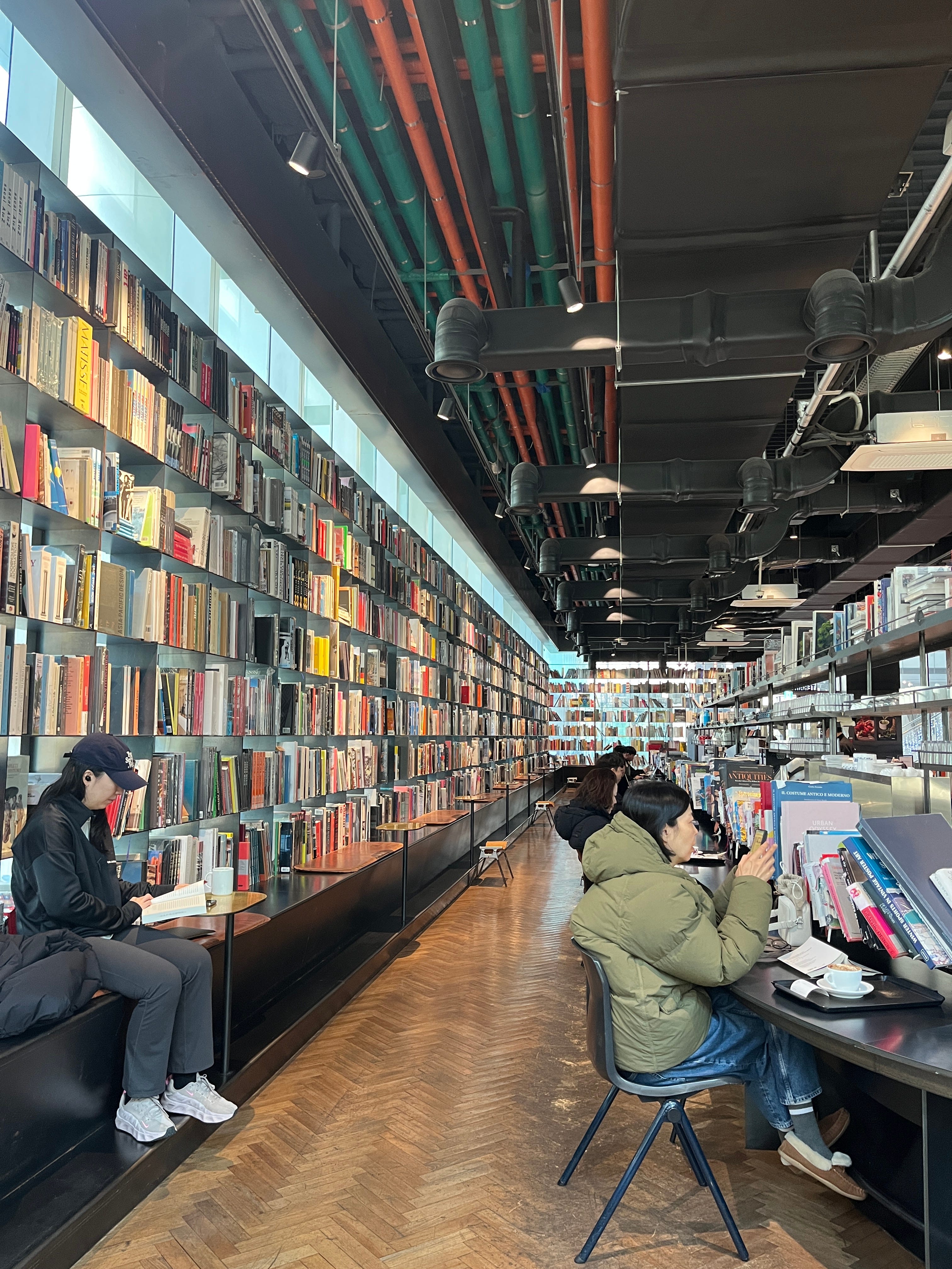The January Writing Report - by Bianca - Life with Bee