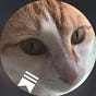 Sam King's avatar