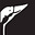 Goose Lane's avatar