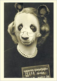 pandamom pandamom