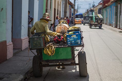 A 3x3 grid of nine photographs depicting life in Cuba. Images include: a boy diving into water; children sitting by a wall; flamingos in a lake; colorful colonial street scenes with classic cars and horse-drawn carts; a cat and a dog in a window; and a lamp-lit cobblestone street at night.