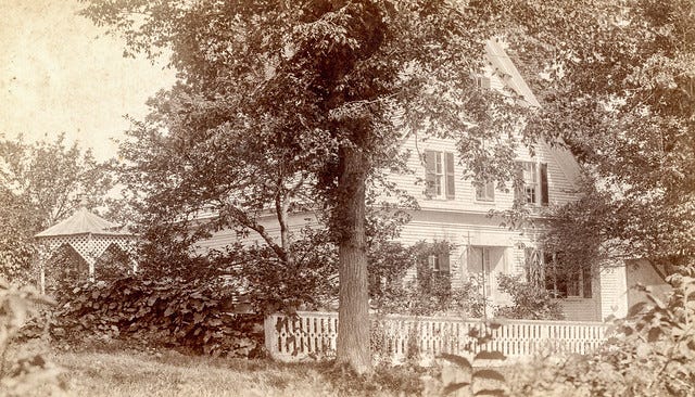 Taylor Houses