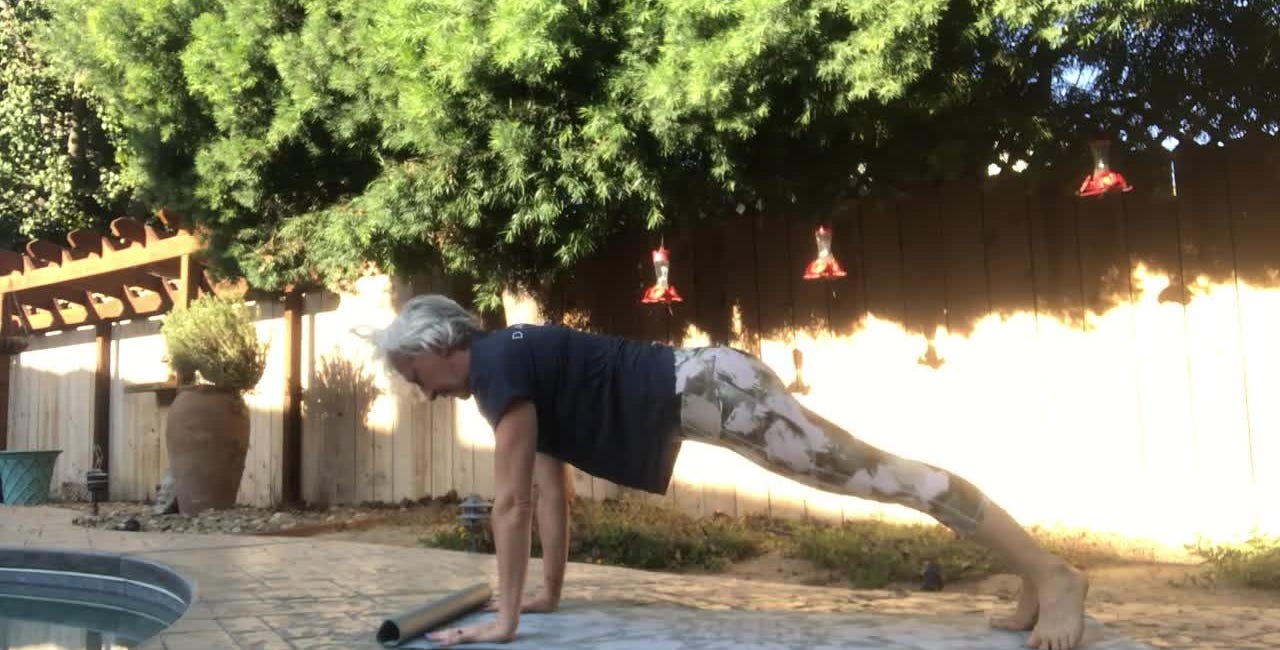 Pilates Exercise Dive: Pilates Push Ups