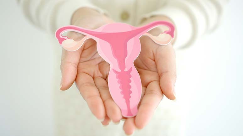 postbiotics pcos