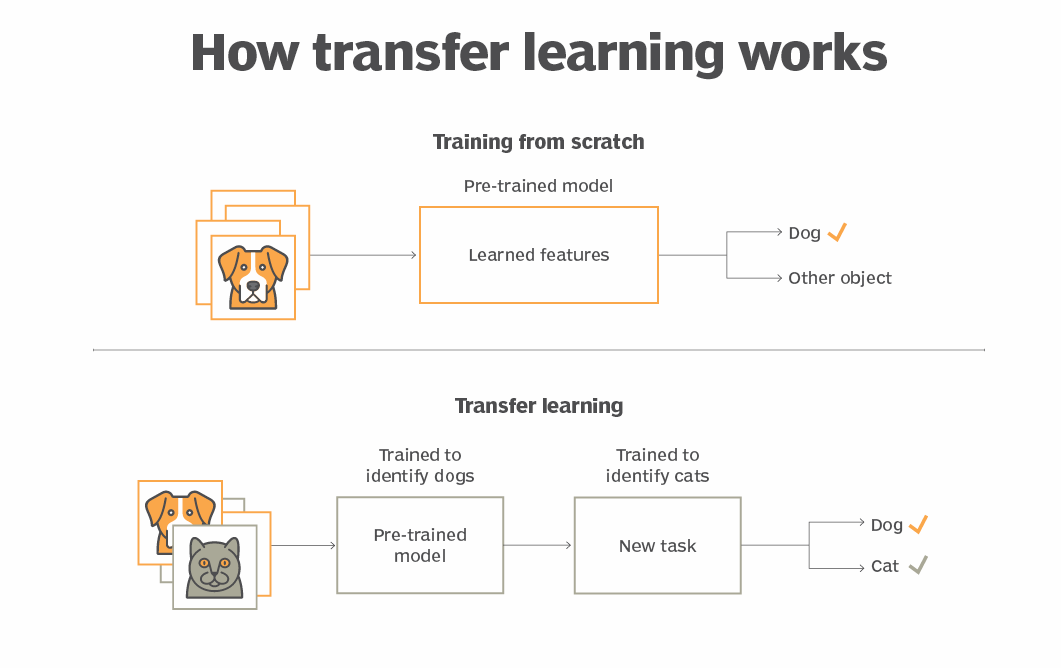 how transfer learning works