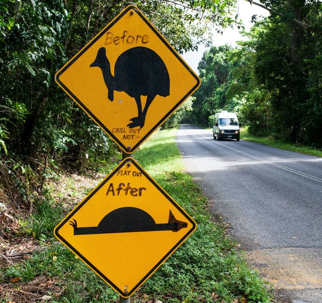 a street sign with a picture of an ostrich on it
