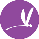 Confessions of a Recovering Desperate Housewife