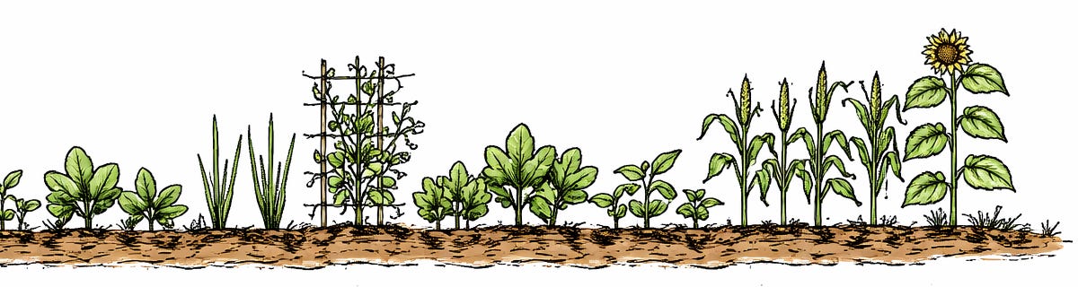 What Are We Growing in the Garden of AI?