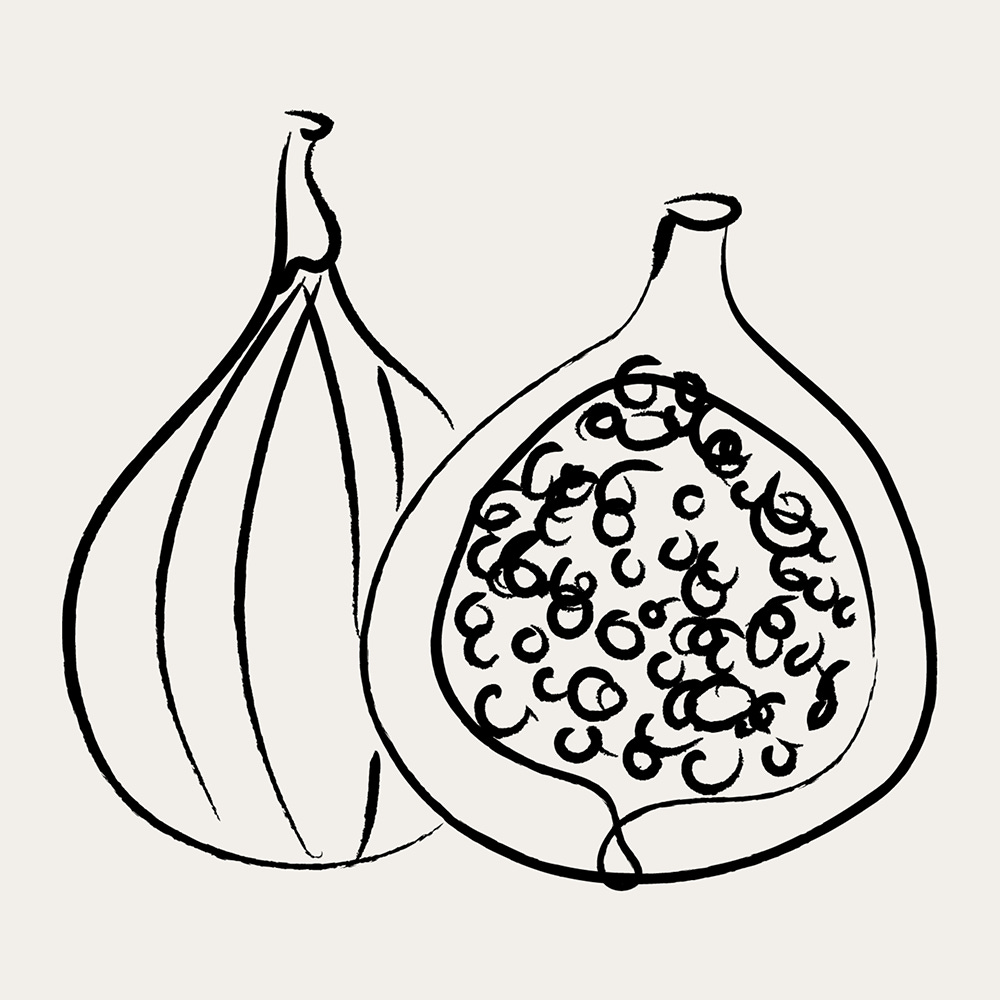 The Concierge by Natalie James