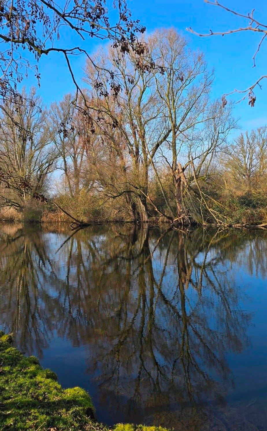 May be an image of body of water