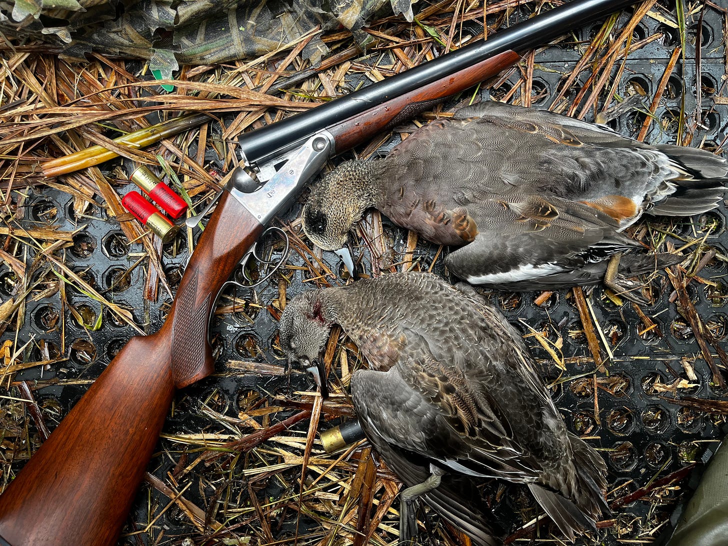 parker shotgun with two dead wideon ducks