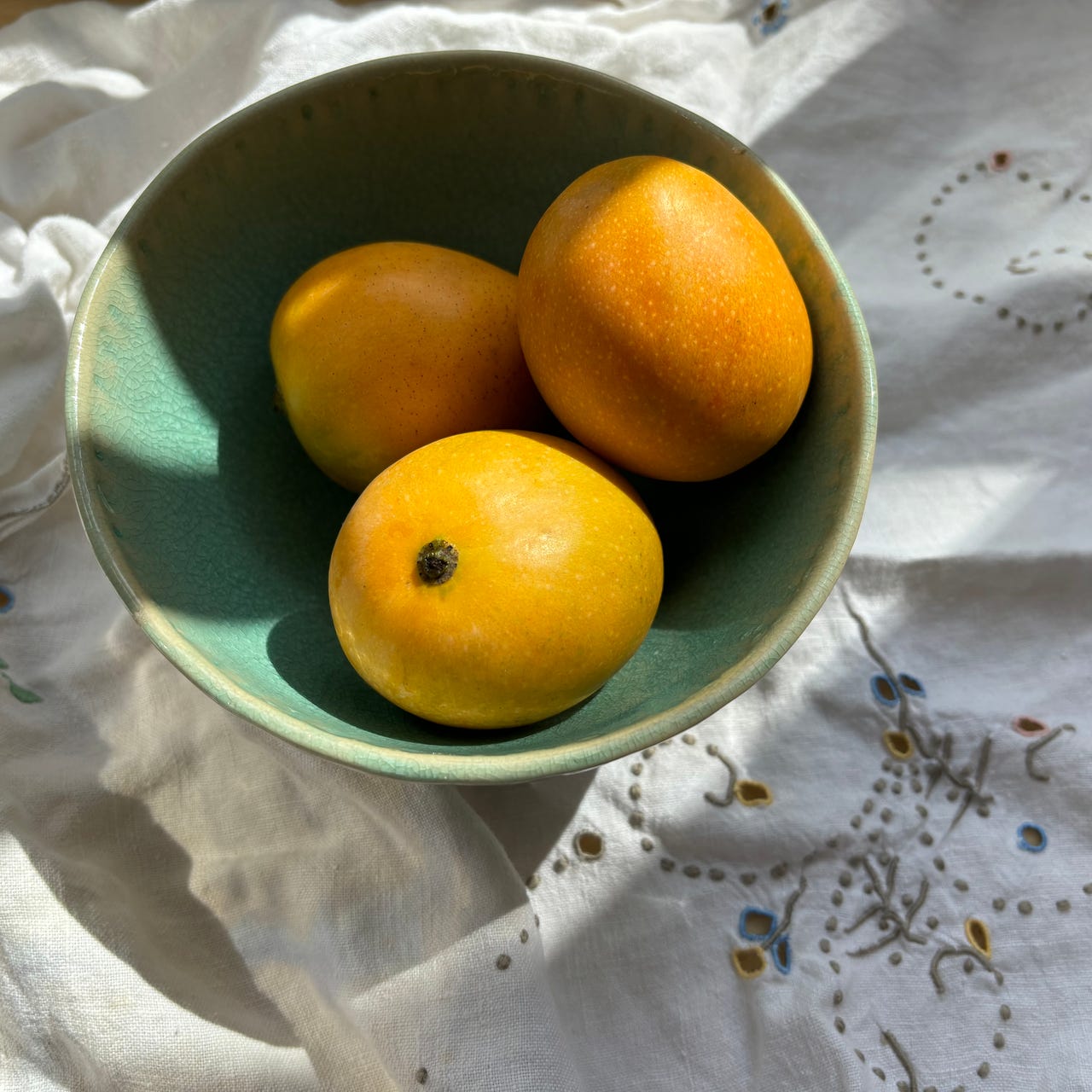 Until Golden: Recipes and Stories from Bee Wilson