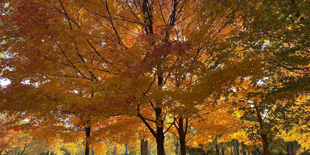 Simple Pleasures of Autumn 