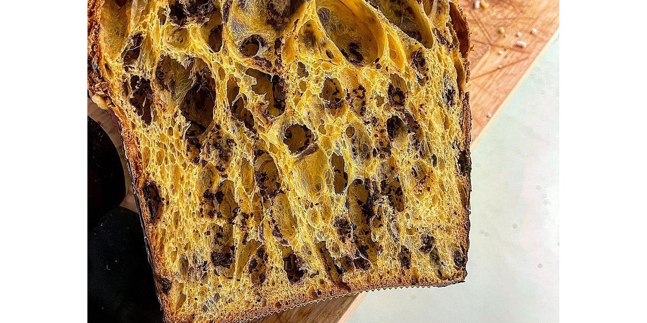 Get Roy Schvartzapel's recipe: Open Crumb Panettone