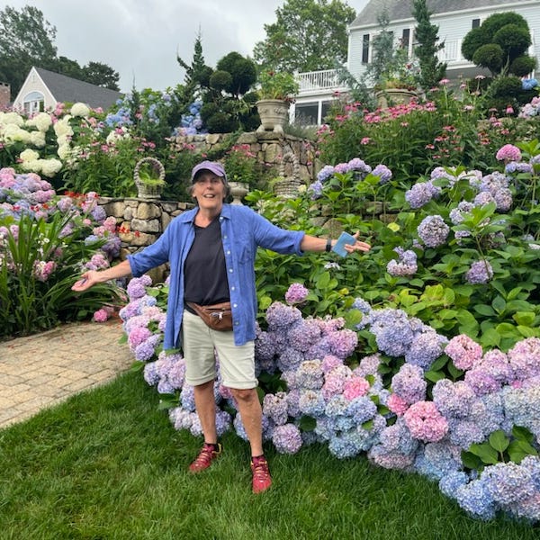 ALS: Healing Conundrums