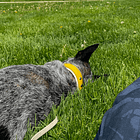 What does it mean to be friendly?