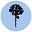 The Hamptons Chronicle's avatar