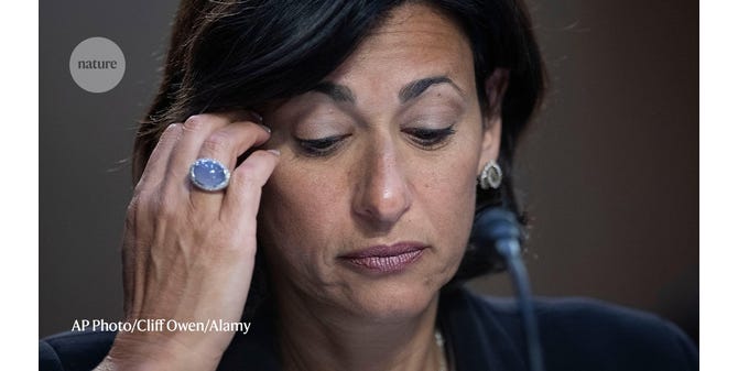 image 12.png image 12.png