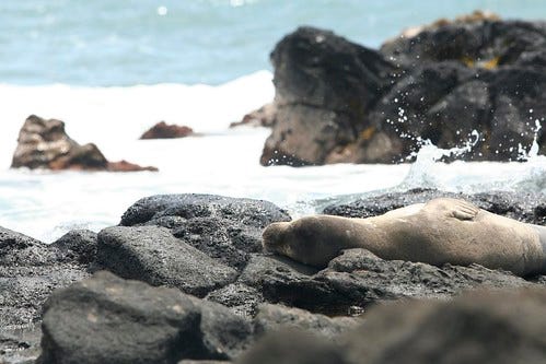 IMG_2424 IMG_2424