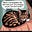 Carol Preece's avatar
