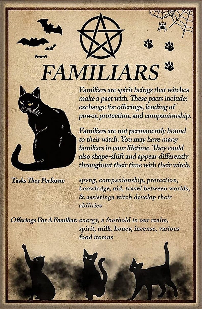 Familiar Spirit Black Cat Witch Knowledge Cat Lover Gift Kitchen Bar Bathroom Garden Home Outdoor Decoration Metal Tin Signs 8 x 12 Inch image 1