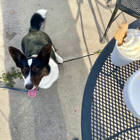 photos of Dylan and Gwen at the cafe