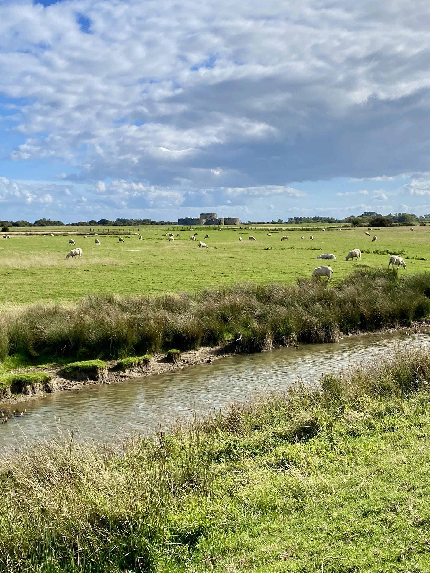 Camber Castle in the distance