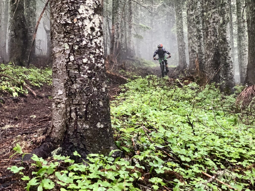 Gifford Pinchot mountain biking
