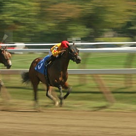 What Journalism’s headlining weekend win means for Saratoga