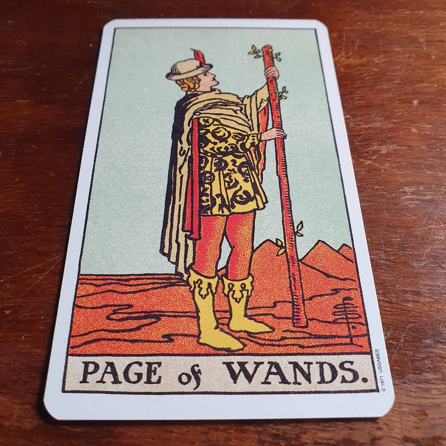 The Page of Wands from the Rider Waite Smith deck