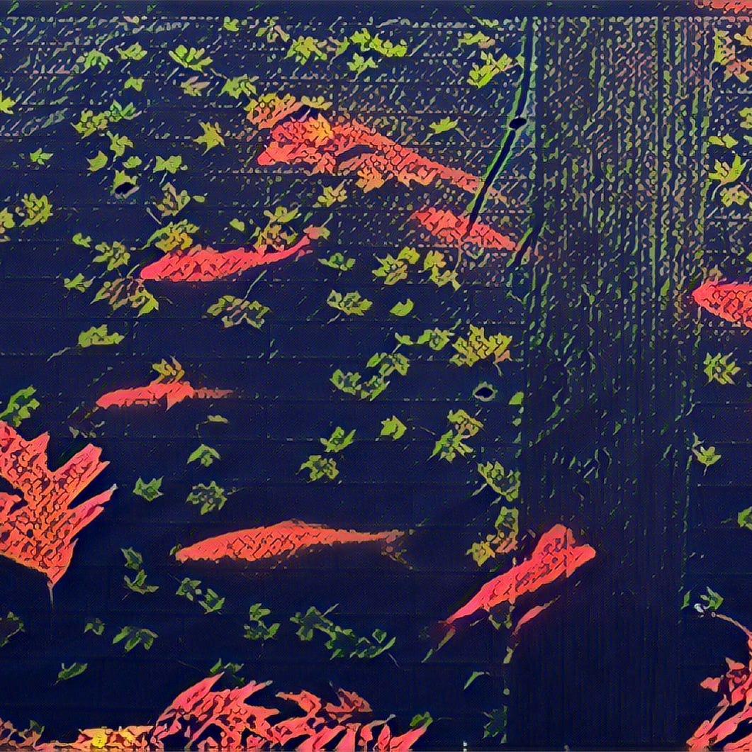 Artwork for Stewart’s Substack