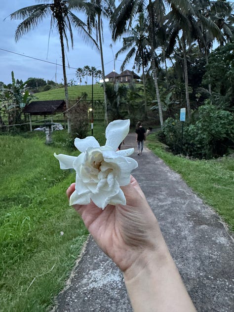 صور لي في بالي