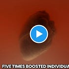HORRIFYING: "After FIVE COVID-19 mRNA Booster Shots… This is What the Human Heart Looks Like — Permanently Damaged With Fatal Micro-Scars"