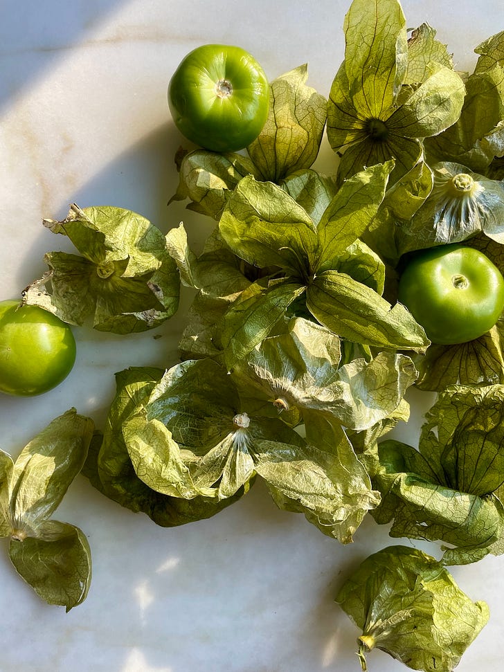 Tart tomatillos give the broth flavor and body, not to mention color, when pureed with poblanos, onions, and some serrano to taste.