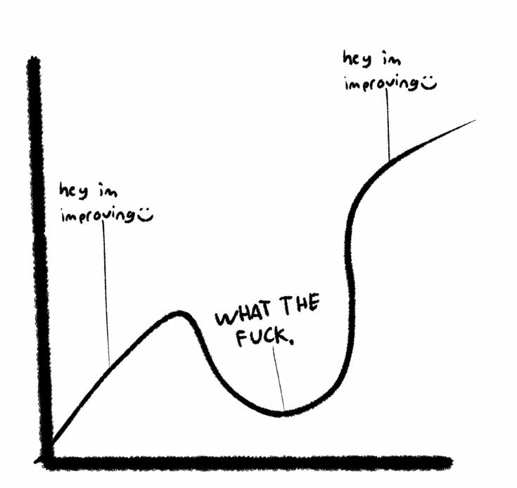 Gráfico de humor que mostra crescimento interrompido por uma curva chamada "WHAT THE FUCK" que logo some. O crescimento se estabiliza.