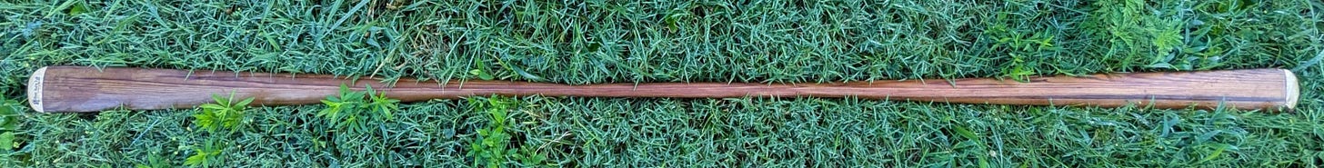 a stick on the grass a stick on the grass